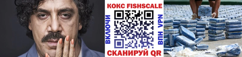КОКАИН Fish Scale  Купить  Бугульма 