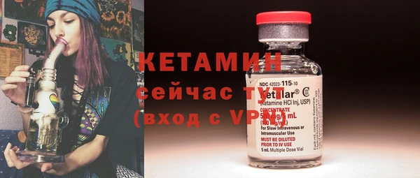 индика Верхний Тагил