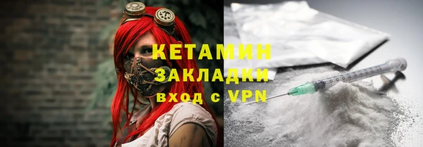 индика Верхний Тагил