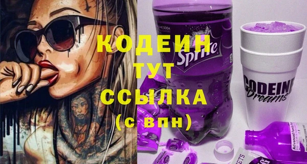 индика Верхний Тагил