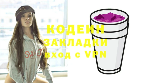 индика Верхний Тагил