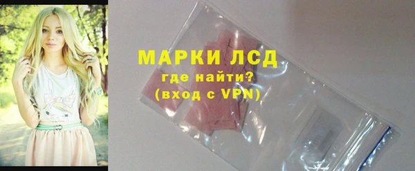 индика Верхний Тагил