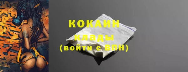 индика Верхний Тагил