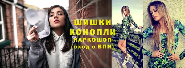 индика Верхний Тагил