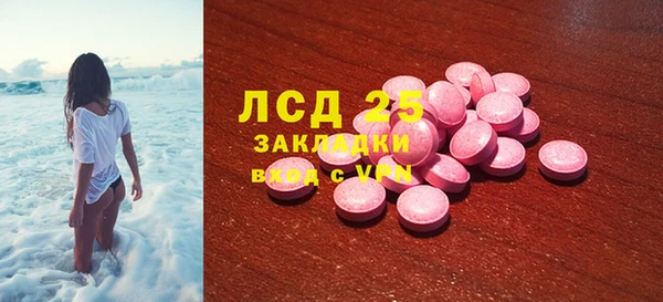 индика Верхний Тагил