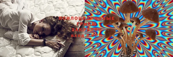 таблы Верея