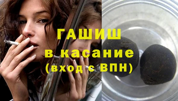 индика Верхний Тагил
