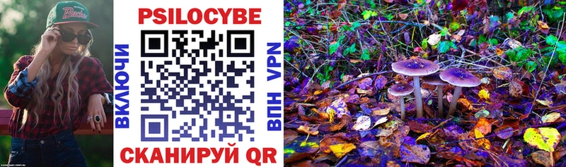 Галлюциногенные грибы Cubensis  Купить закладки  Бугульма 